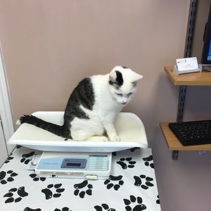 Meet your Posher, Ann